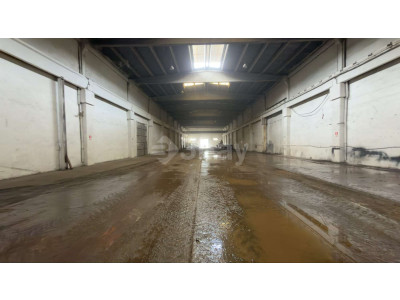 WhatsApp Image 2026-03-30 at 20.43.21 (3).jpeg